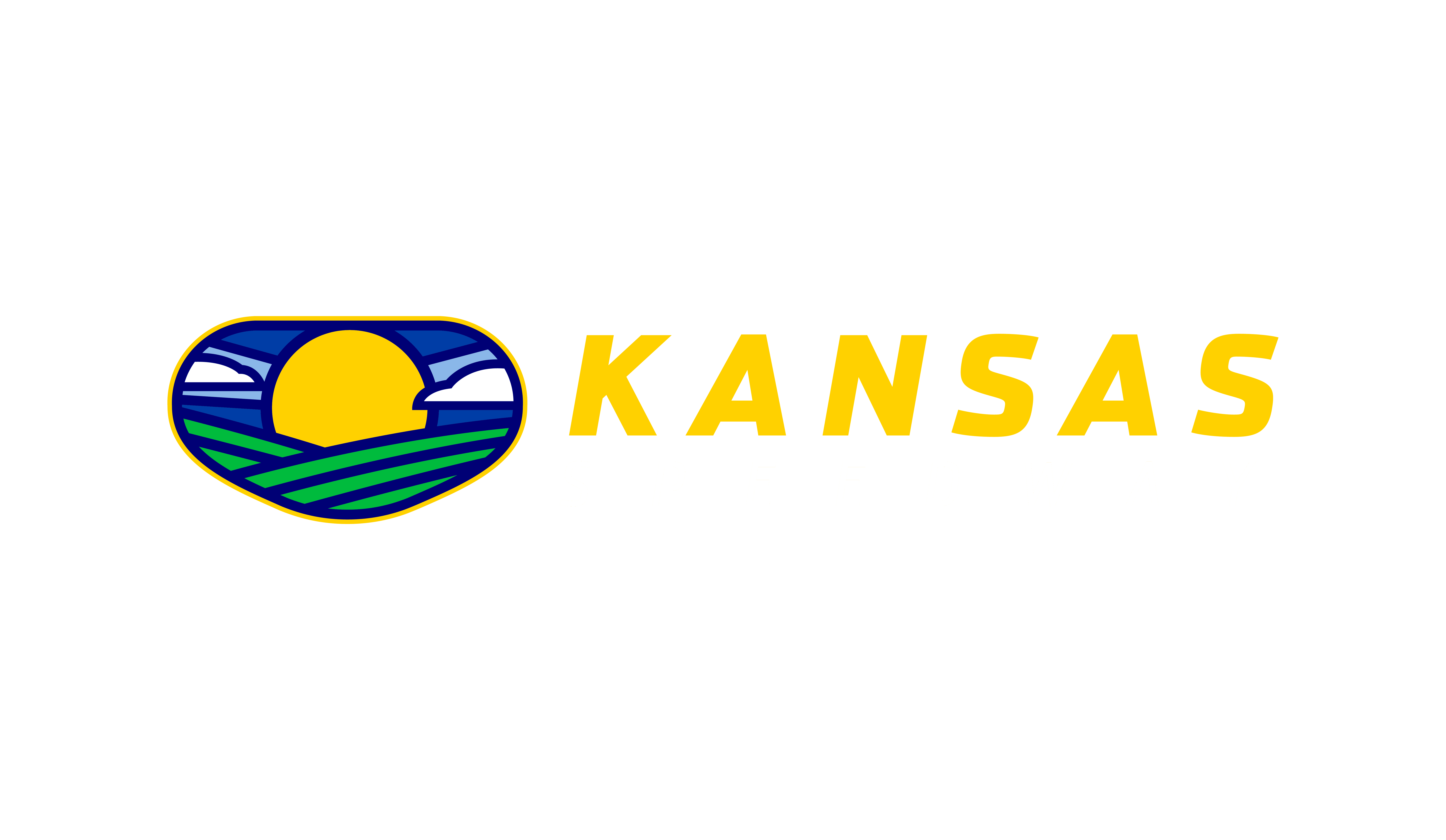 Track logo for Menards 150
